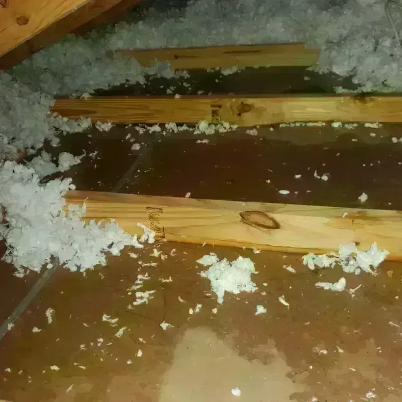 Attic Water Damage in Madras, OR